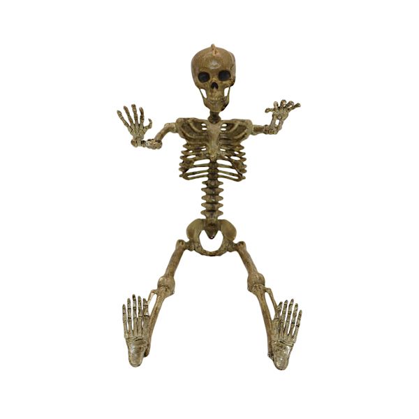Hanging Or Standing Halloween Skeleton Decoration - 65cm Length