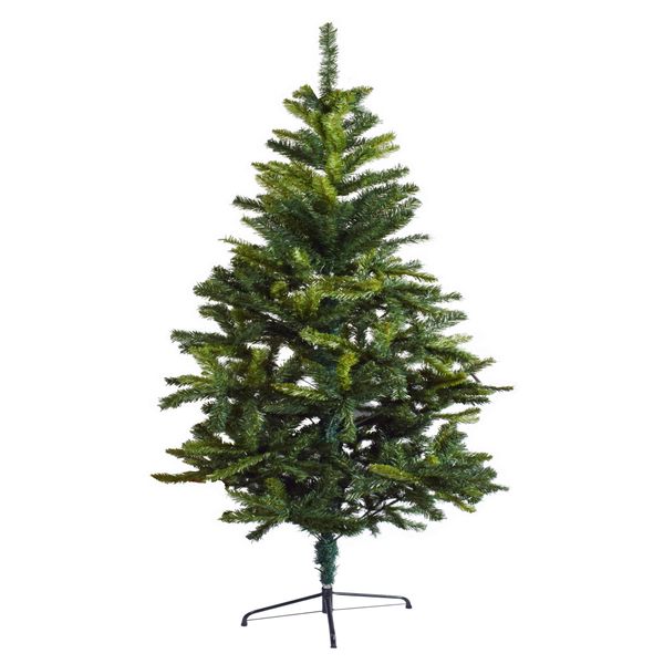 Tall Evergreen Christmas Tree