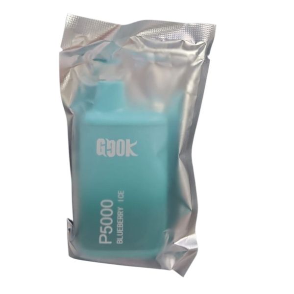 GGOK P5000 Disposable vape - Blueberry Ice