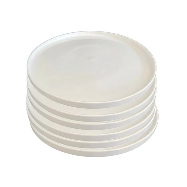 6 Piece 10.5 Inch Vertical Edge Round Dinner Plate Set