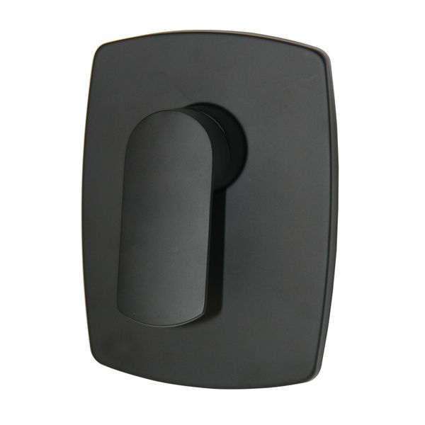 Blutide Spring Black Concealed Mixer
