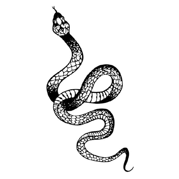 Craft DIY Body Waterproof Black Snake Temporary Tattoo Sticker - 25cm