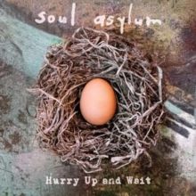 Hurry Up and Wait (Vinyl / 12" Album)