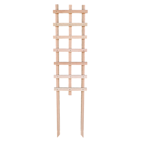 Garden Trellis - Saligna Hardwood