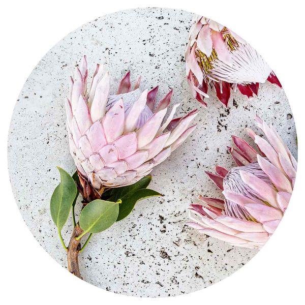 Protea on Granite Round Mouse Pad
