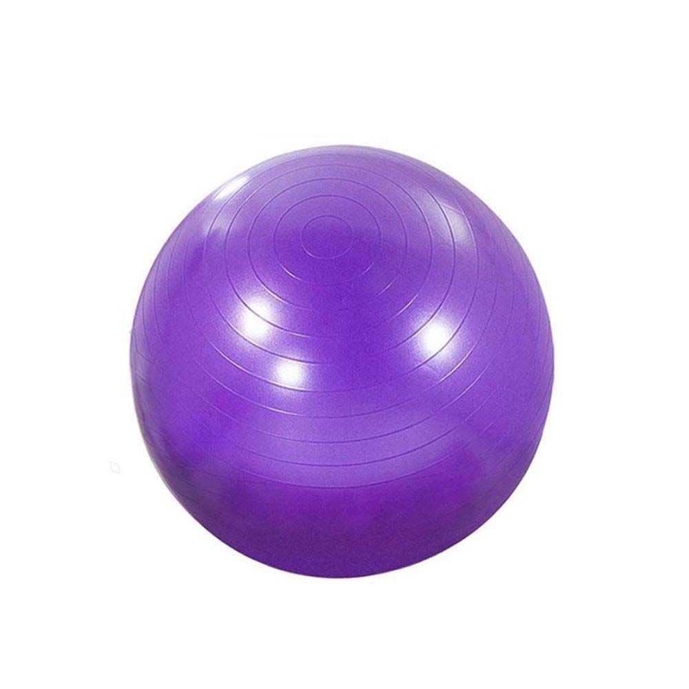 Anti-Burst Exercise Ball 95cm | Shop Today. Get it Tomorrow! | takealot.com