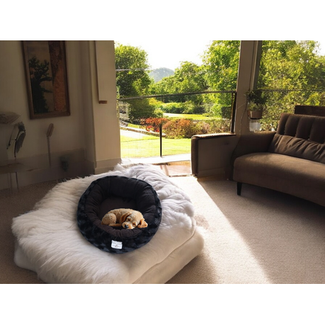 Pet beds with washable covers best sale