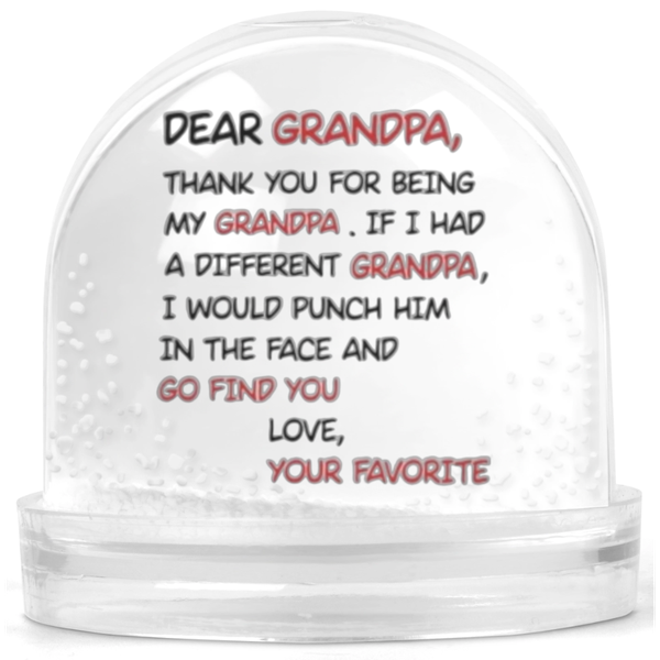 Thank You For Being My Grandpa Gift Snow Globe
