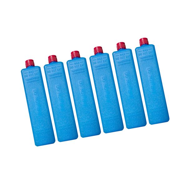 6 Pieces Ice Boxes Lightweight Freezer Blocks for Outdoor Camping Family