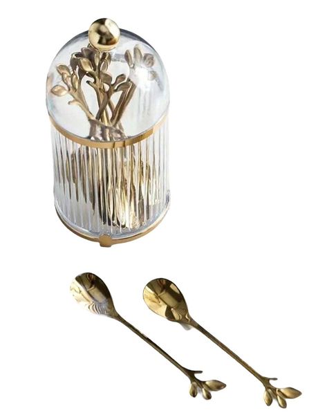 Premium 6-Piece Stainless Steel Coffee / Tea Spoon Set &amp; Holder