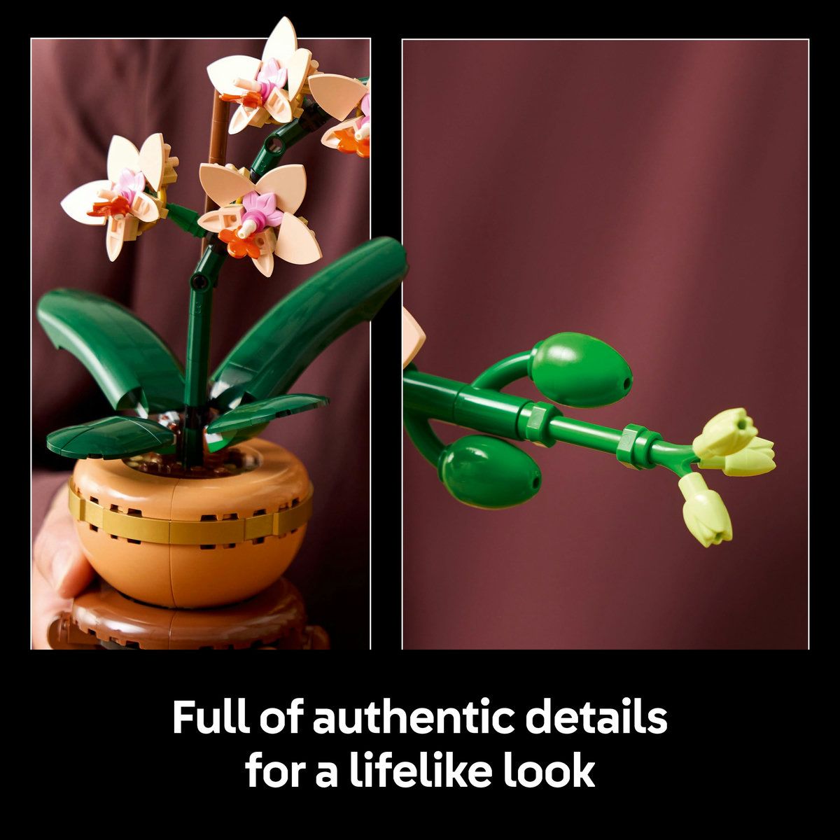 LEGO® Botanicals Mini Orchid Plant Gift 10343 | Shop Today. Get it