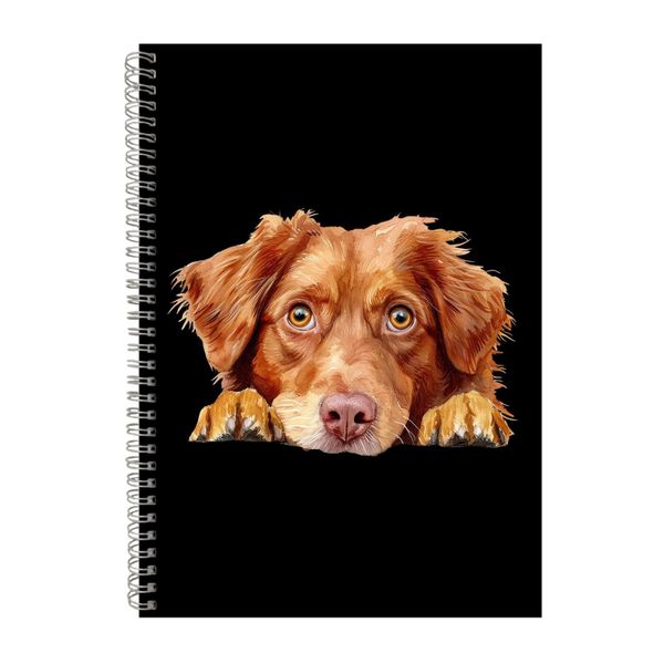 Nova Scotia Retriever 2 A4 Notebook Spiral Lined Notepad Dog Idea 376