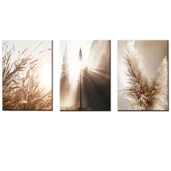 Canvas-Art-3 Pieces Grassland Brown Bohemian Style Abstract Wall Art