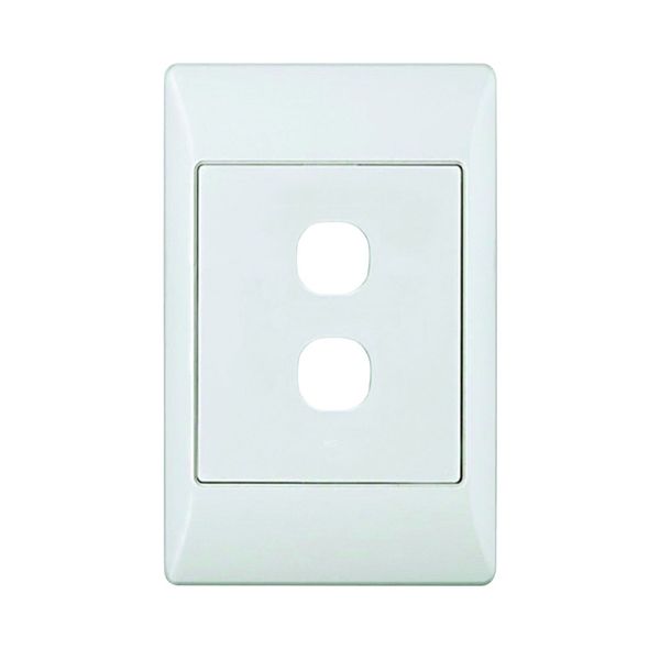 Blank Module 4x2 2 Way