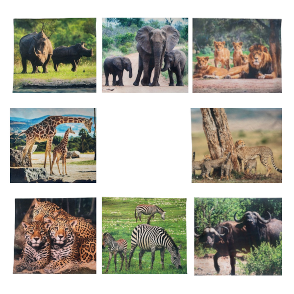 Placemats - Elegant - Wildlife - Set of 8