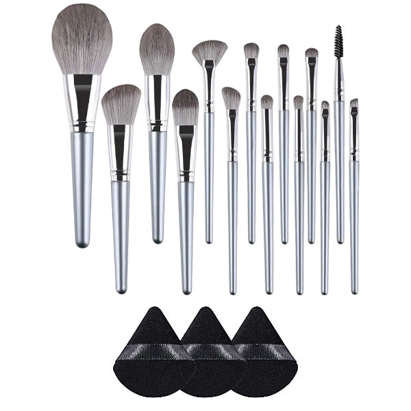 17-Piece Professional Makeup Brush Set With Sponge Blenders - Silver