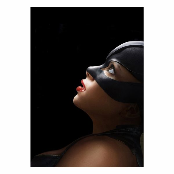 Catwoman Black Abstract - A1 poster