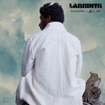 Imagination &amp; the Misfit Kid (Vinyl / 12" Album)