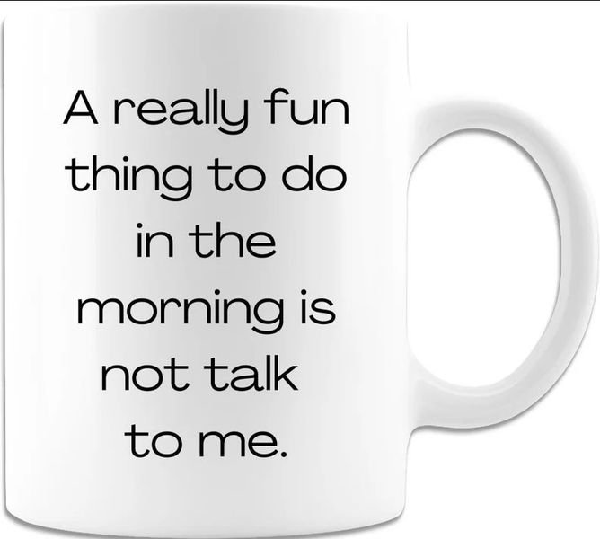 Don't Talk To Me In The Morning Birthday Christmas Coworker Office Gift Mug