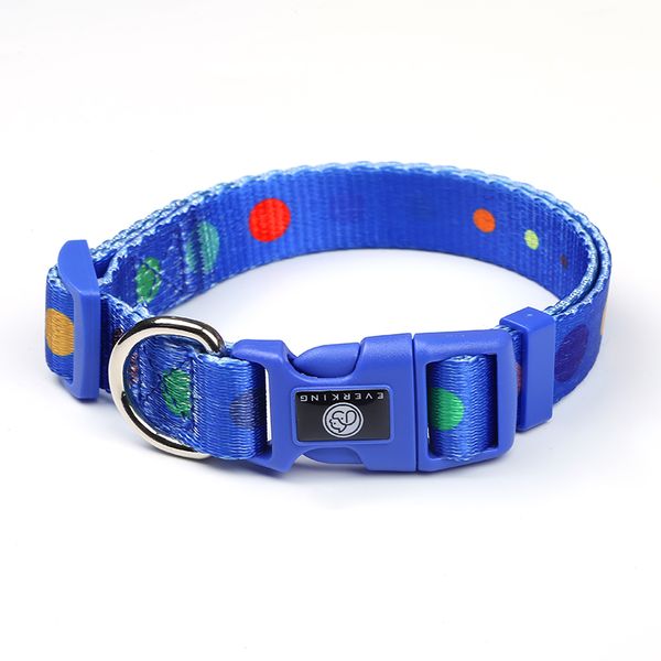 Blue Cat Collar with Fun Colourful Dots