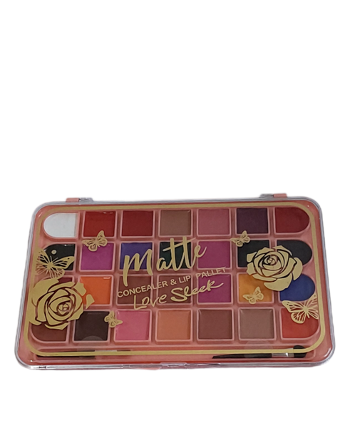 Matte Concealer and Lip Palette