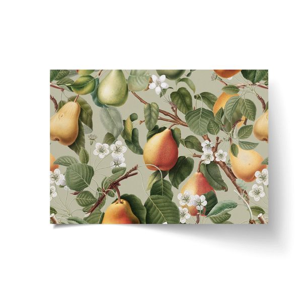A3 Disposable Paper Placemat Set - Pears - 20 Sheets