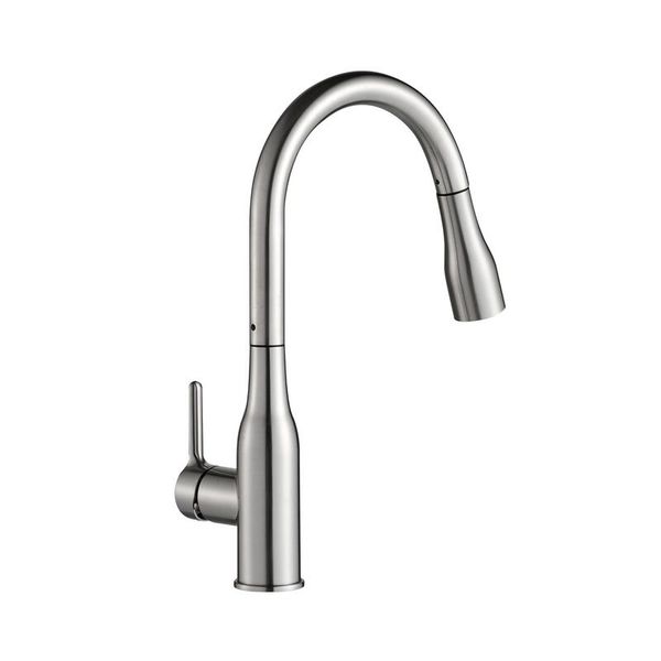 Delinia Fanny Pull Out Kitchen Faucet ACS - Nickel Brush