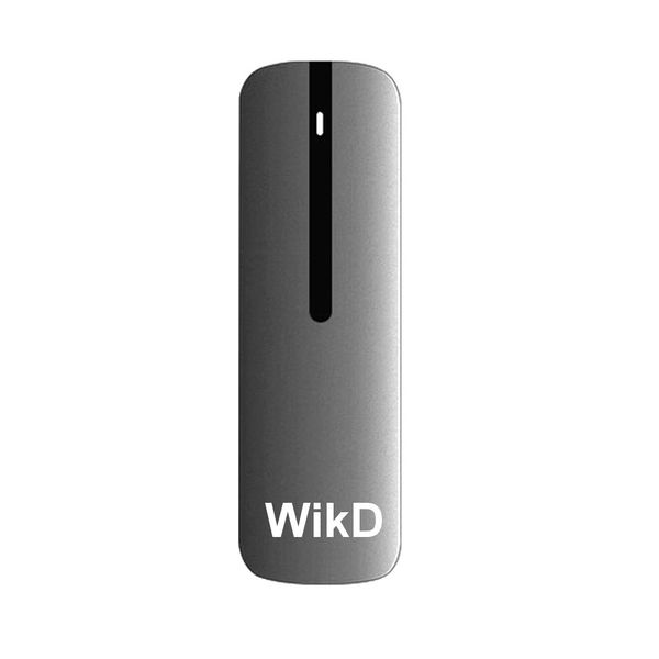 WikD 256 GB Portable Solid State Drive (SSD)