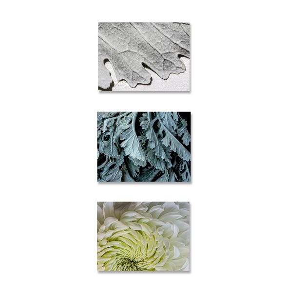 CapeArt Birch Block 3 Piece Collage Winter Garden