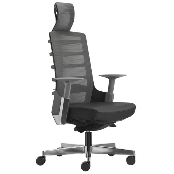 High-Back Office Chair - Spinelly, Adjustable, Comfortable