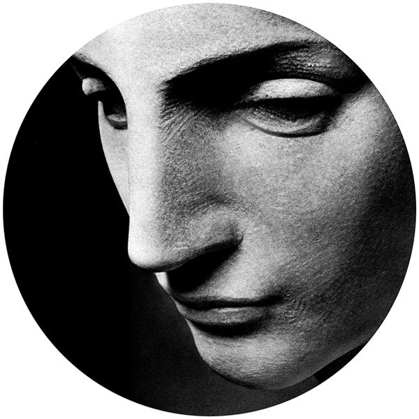 Robin Sprong Wall Decal Michelangelo 1000 x 1000mm