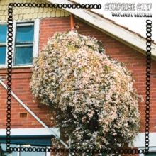 Daylight Savings (Vinyl / 12" Album)