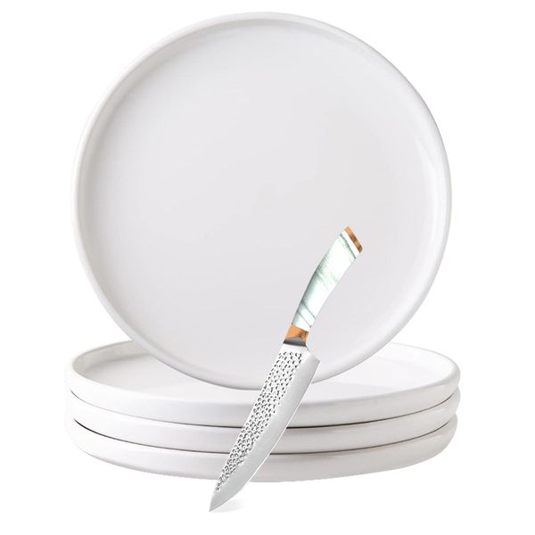 12-inch Ceramic Dinner Plates Set - 5 Piece