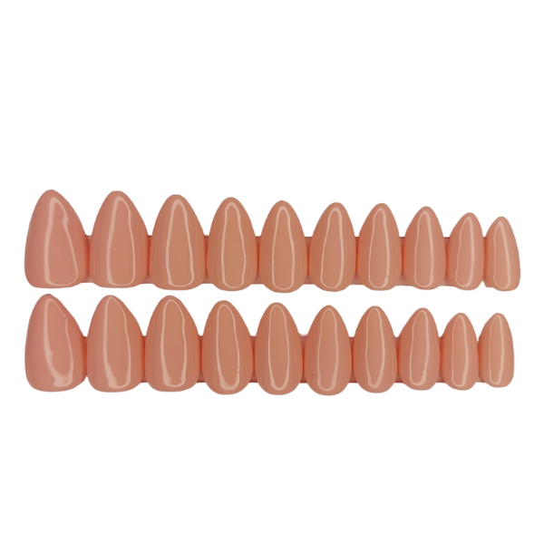 Luxury Press On Nails - Short Almond Peach Pink Set - 20 Piece