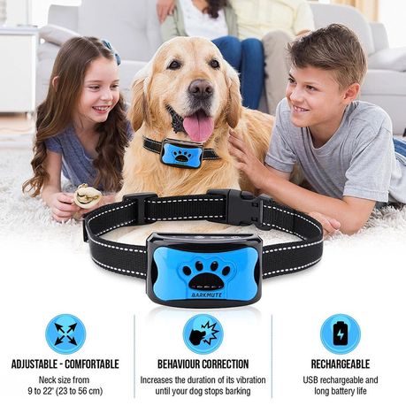 what is the best dog collar to stop barking