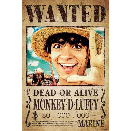 One Piece (Monkey D. Luffy Wanted) Poster Image