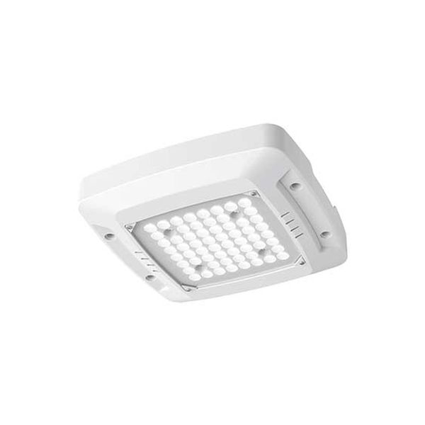 ACDC - 100-277vac Led Gas Station Light Ip65 Power And Cct Adj.