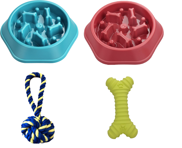 Paced Feeder Bowl &amp; 2 Toys