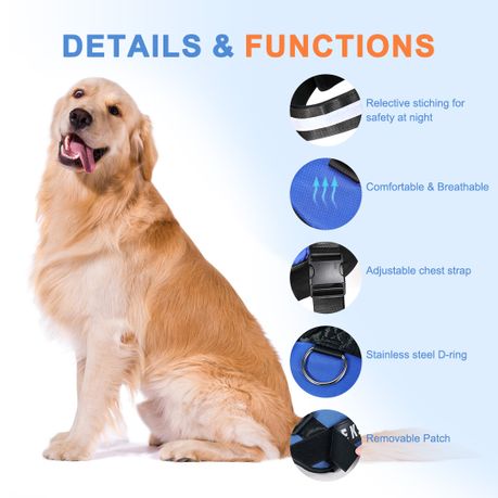 Dog shock collar takealot hotsell