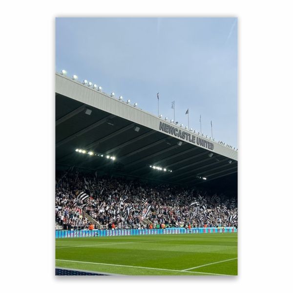 St James's Park Newcastle United Poster - A1