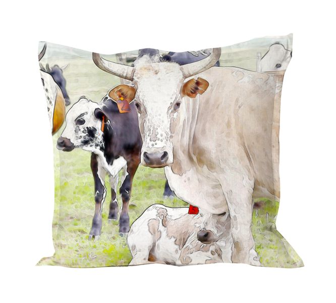 I Love it Here - Nguni Mom and Baby