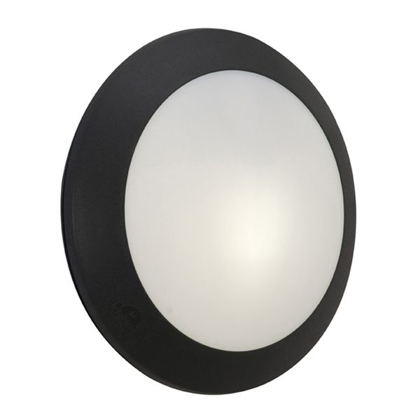 Eurolux - Fumagalli Umberta Bulkhead Black