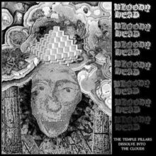 The Temple Pillars Dissolve Into the Clouds (Vinyl / 12" Album)