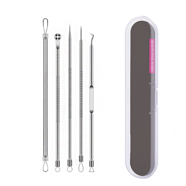 5 Pieces Acne Blackhead Remover Silver Needle Tools Set With Box