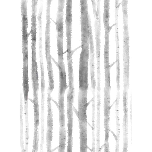 Stickcool10m Self Adhesive Watercolor Birch Tree Wallpaper Peel &amp; Stick0942