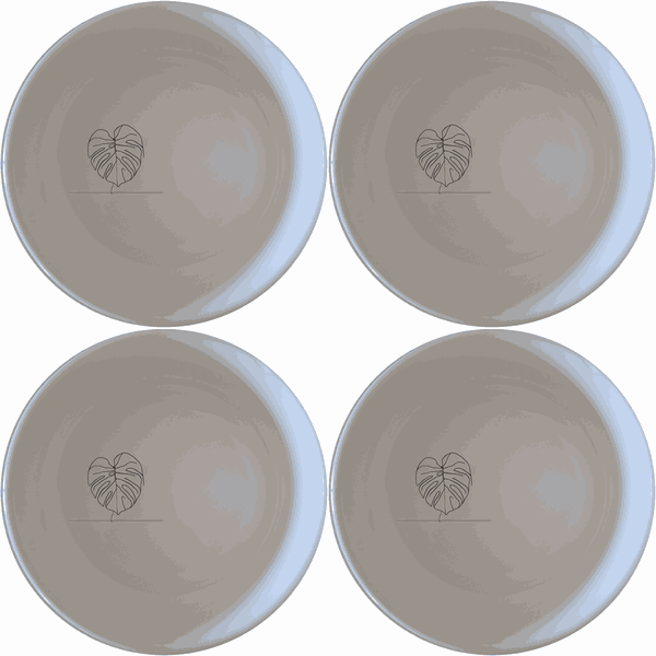 Monstera Deliciosa Bowl Set of 4 - Range 4