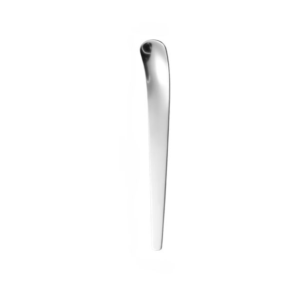 Stainless Steel Spoon