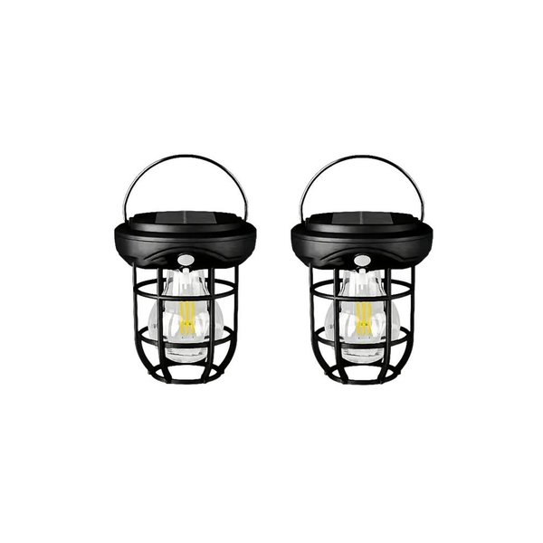 Set Of 2 3 Modes Lighting Outdoor Induction Solar Light With Handle TS-170