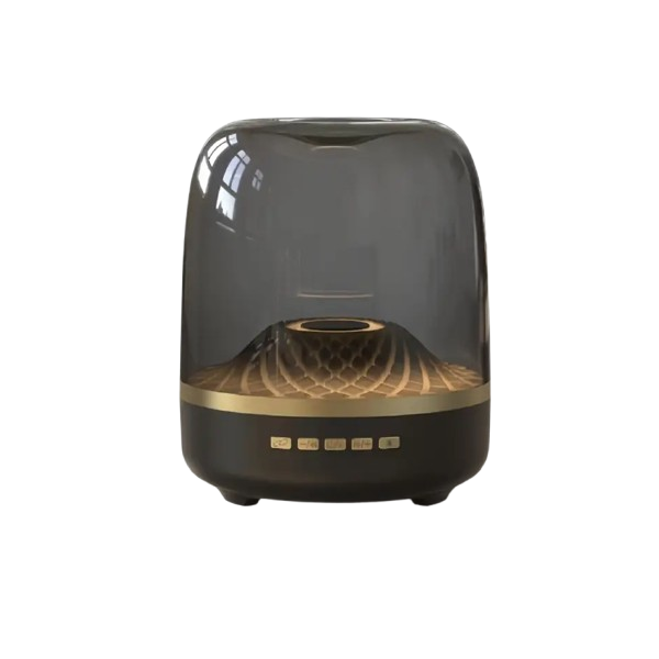 Wireless Home Theater Speaker - Black with Gold Accents