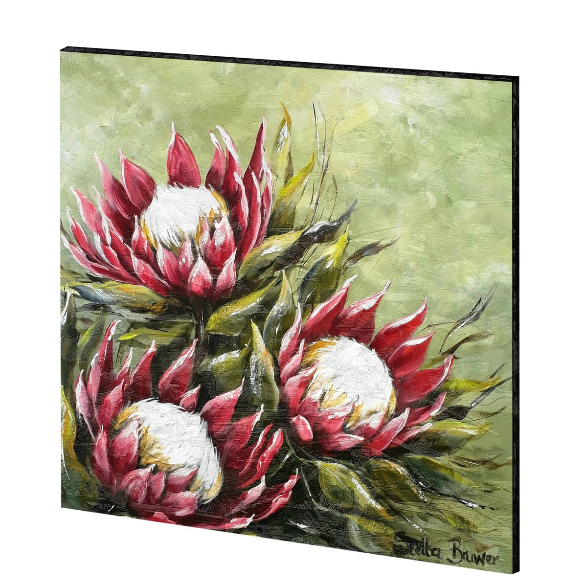 Wild Proteas Pressed Wood Wall Art By Stella Bruwer 60cm x 60cm Buy